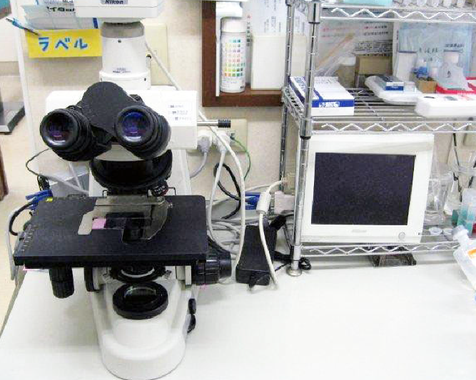 顕微鏡と顕微鏡用デジタルカメラ
