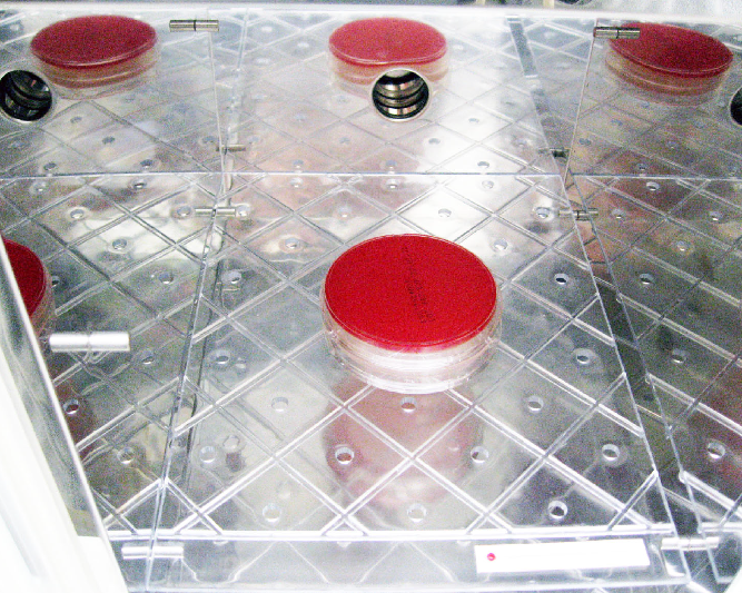 細菌培養検査器