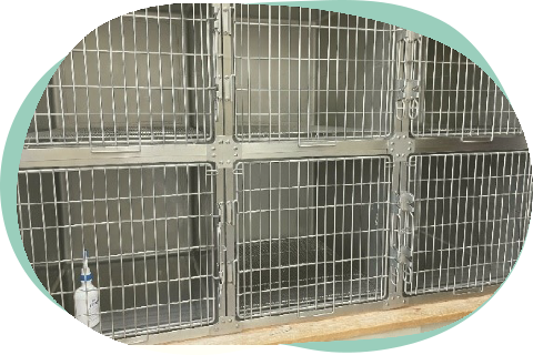 ネコちゃん専用待合室