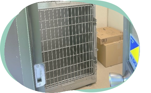 ネコちゃん専用待合室