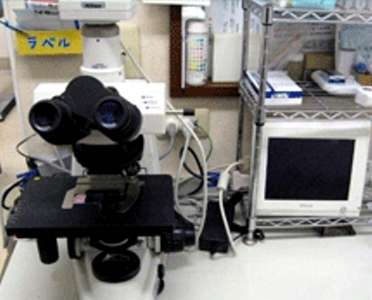 顕微鏡と顕微鏡用デジタルカメラ