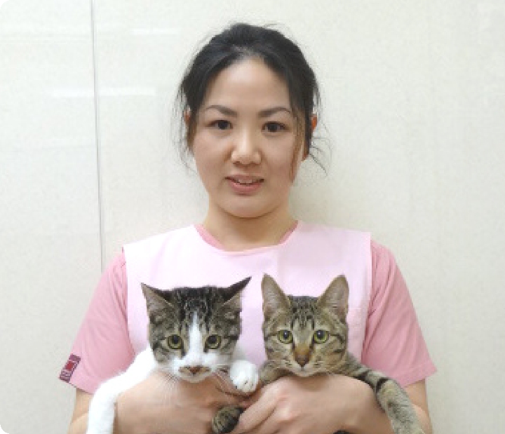 愛玩動物看護師 武藤　正子