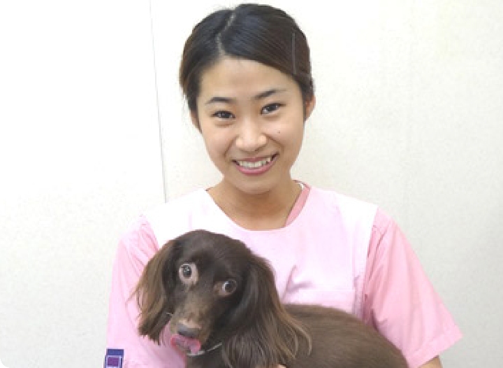 愛玩動物看護師 青木　美優